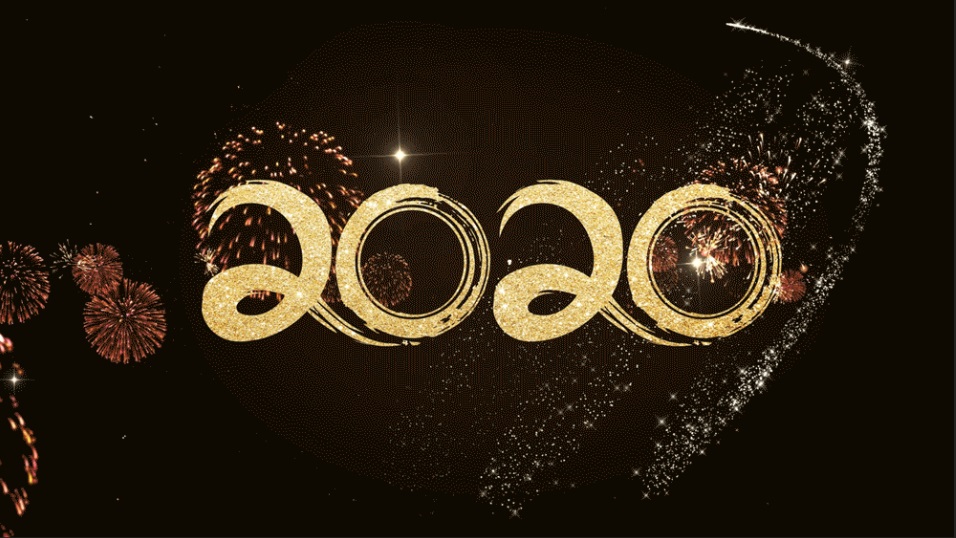 2020年白云山Z6人生就是博公司十件大事