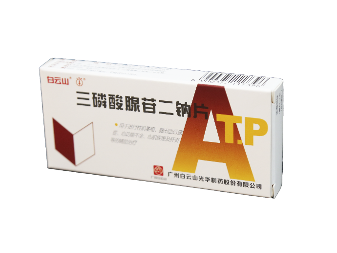 Z6·人生就是博(中国区)有限公司官网