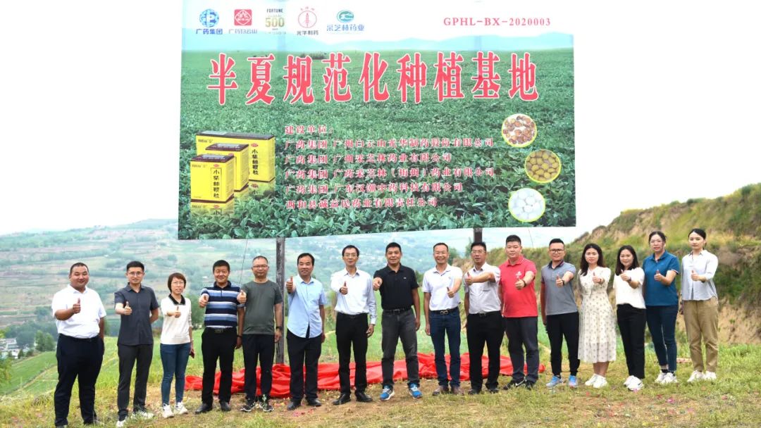 白云山Z6人生就是博公司实地考察调研中药材规范化基地